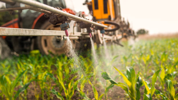 Insect Control in Centerville, SC